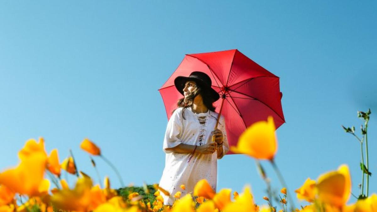 umbrela-canicula-racoresti-soare-vara-flori-camp-jeremy-bishop-unsplash_61364900