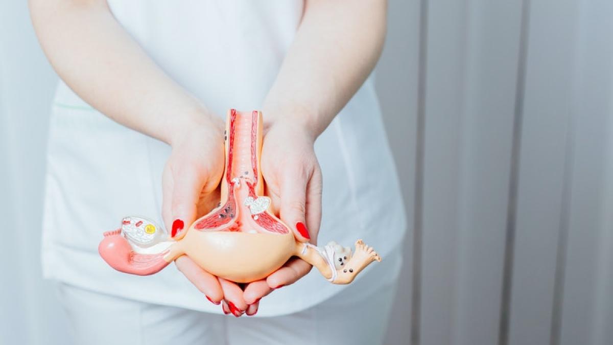 didelphys-uterus_97447700
