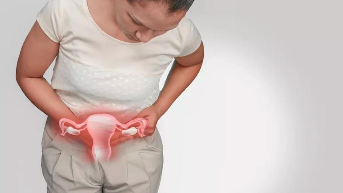 transplant_uter_56047500