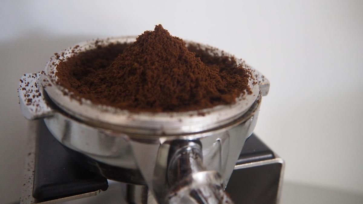 zat-de-cafea-flori_71452100