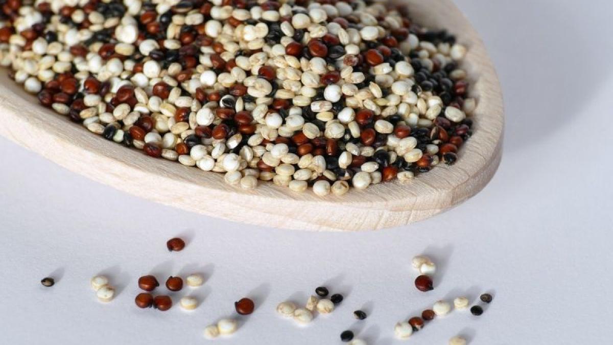 quinoa-foto-pixabay_92478000