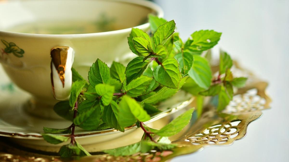 ceai-menta-dupa-masa_53447100