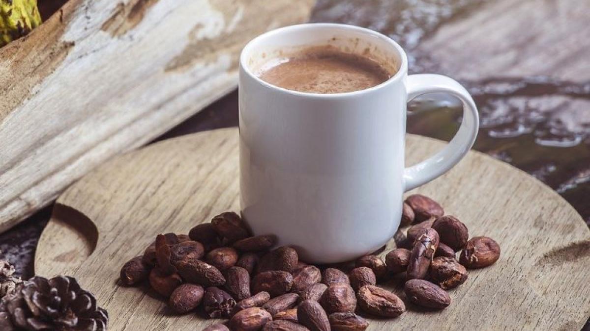 cacao-foto-pixabay_49409000