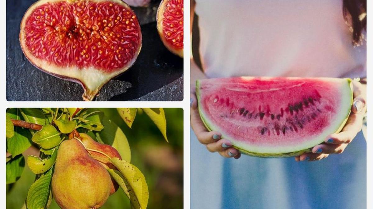 colaj-fructe-dulci-pixabay_46187700