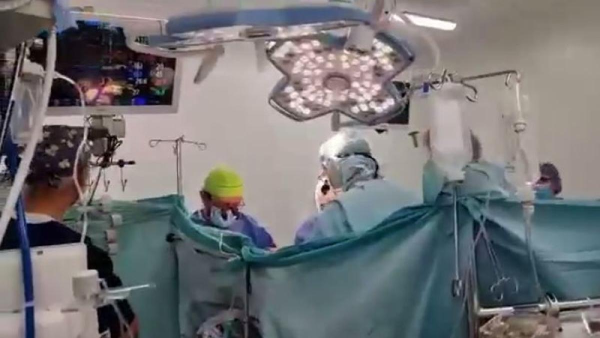 transplant-tg-mures_85273600
