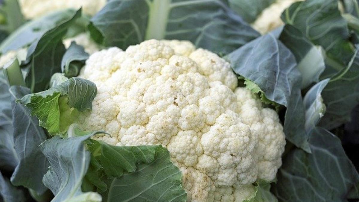 cauliflower_1465732_640_34301700