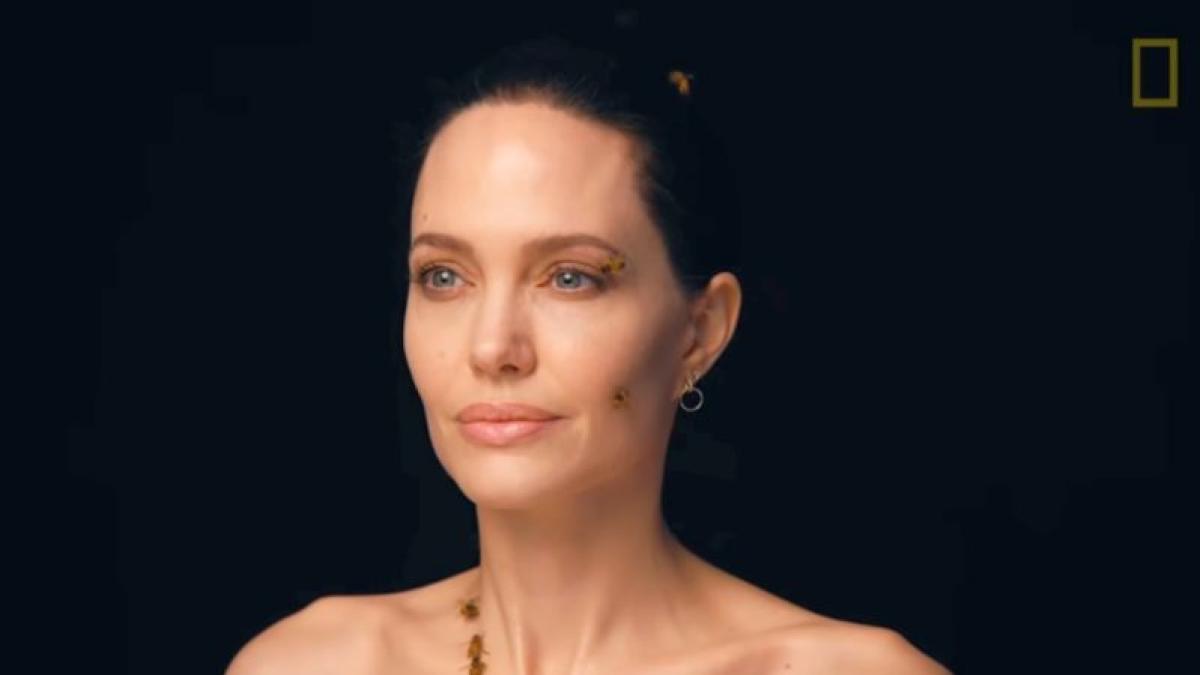 angelina-joli-albine-foto-print-screen-national-geographic-1_97572600