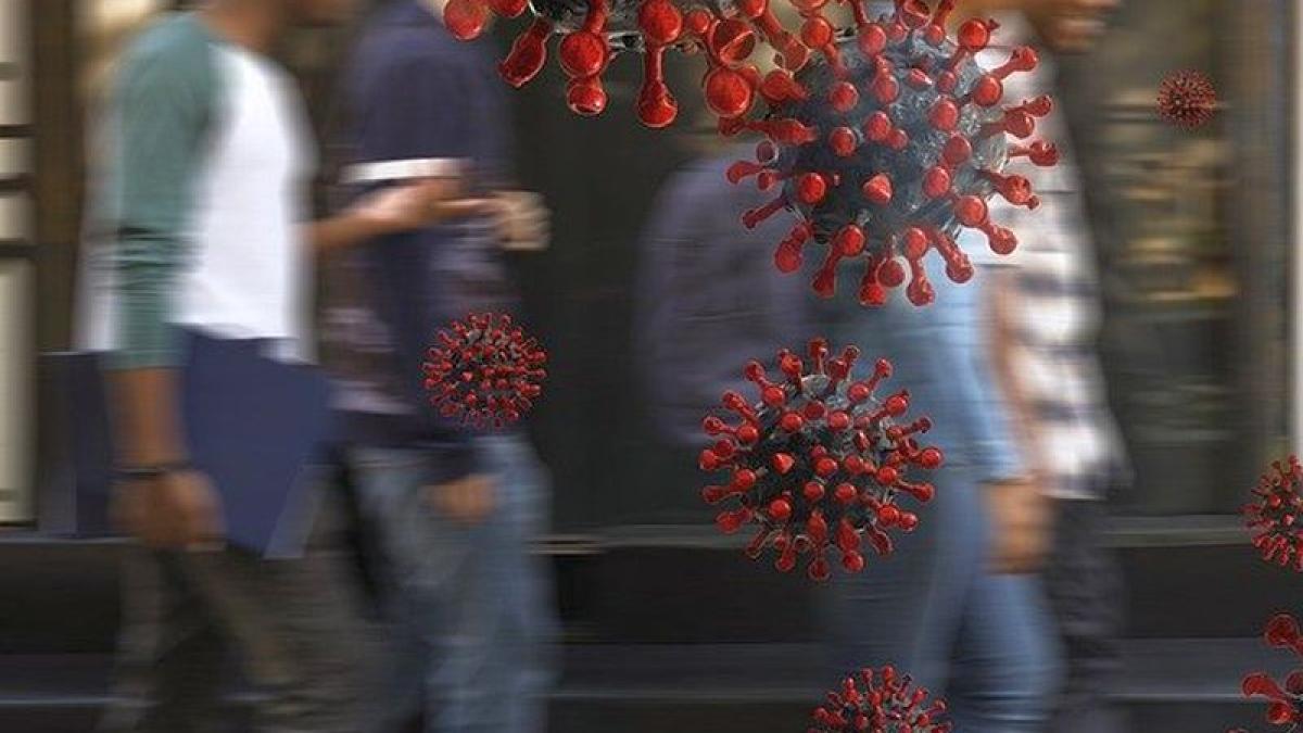 coronavirus-pixabay_81865900