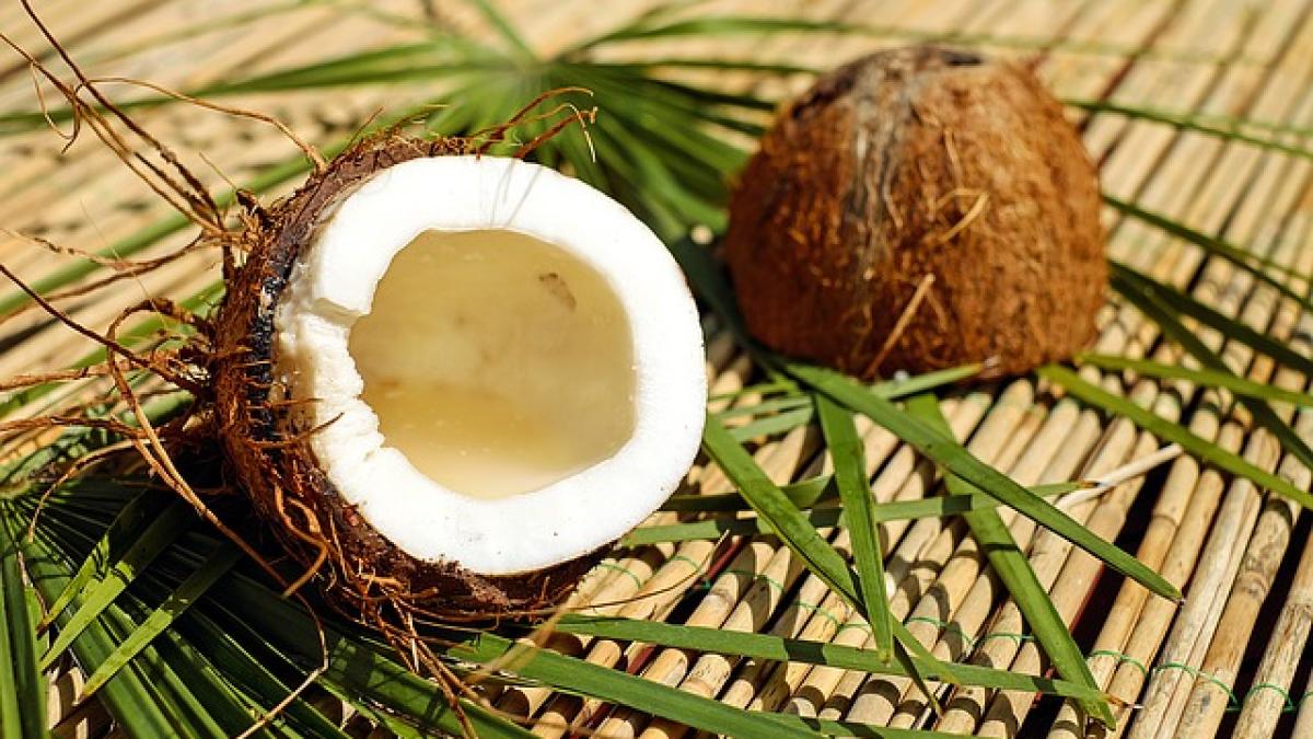 nuca-de-cocos_35370700