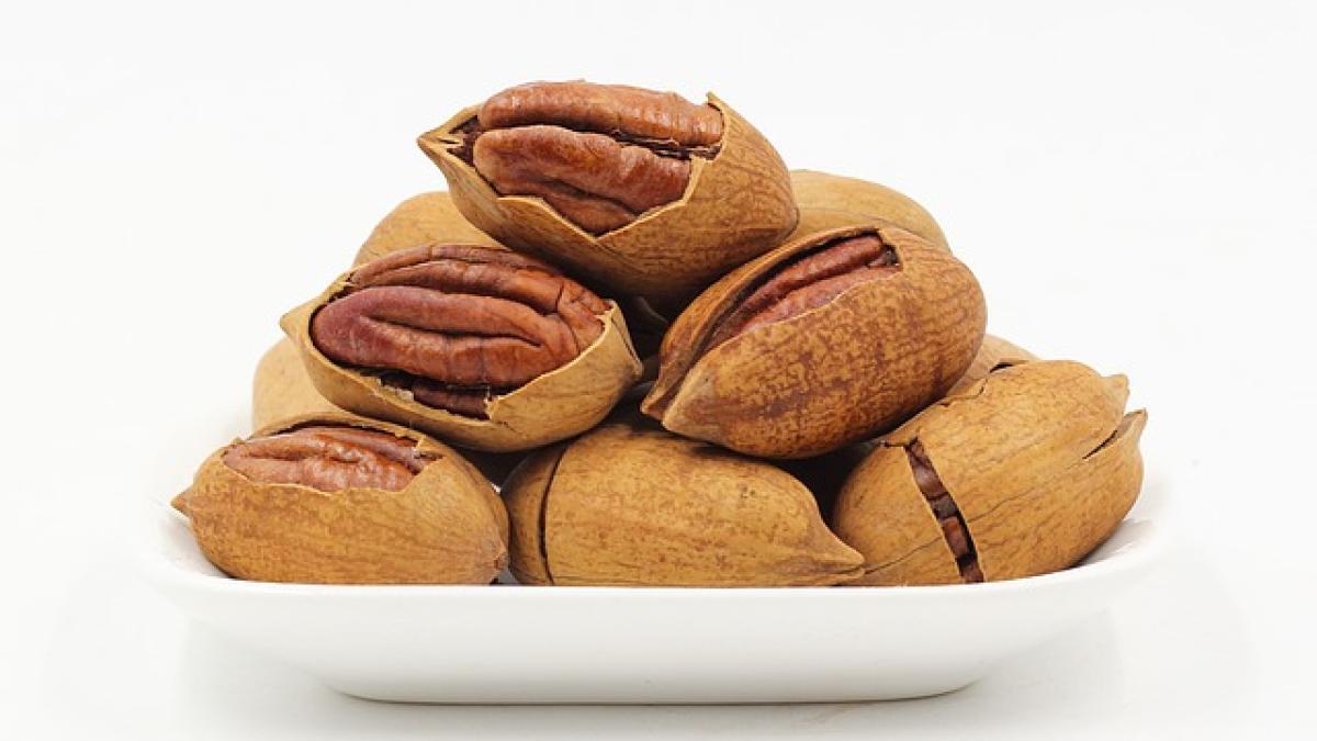 pecans-g27afc8358_640_78104700