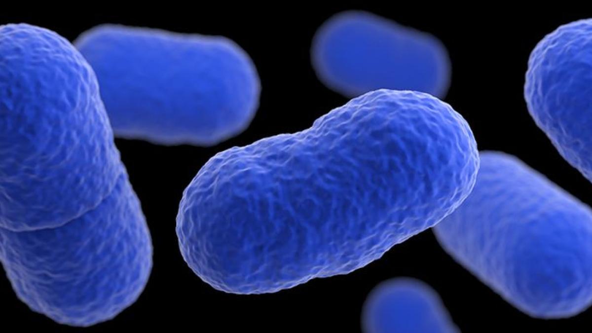 listeria-foto-cdc_89518000