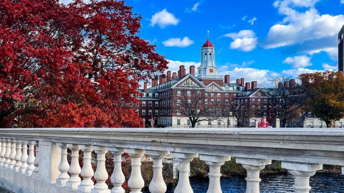 harvard-foto-facebook_67817000