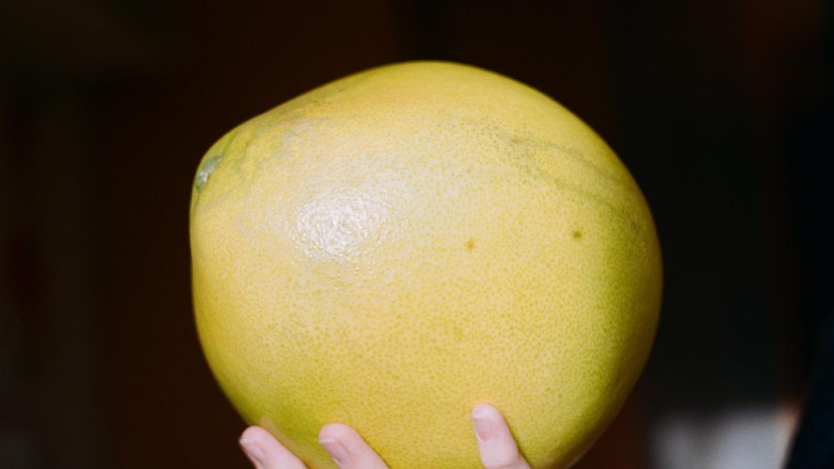 pomelo-pexels-maria-varshavskaya_15983900