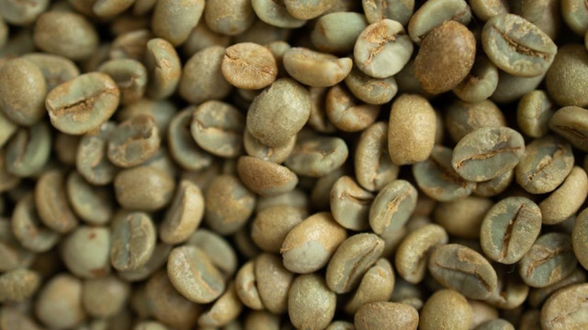 cafea-verde_15452400