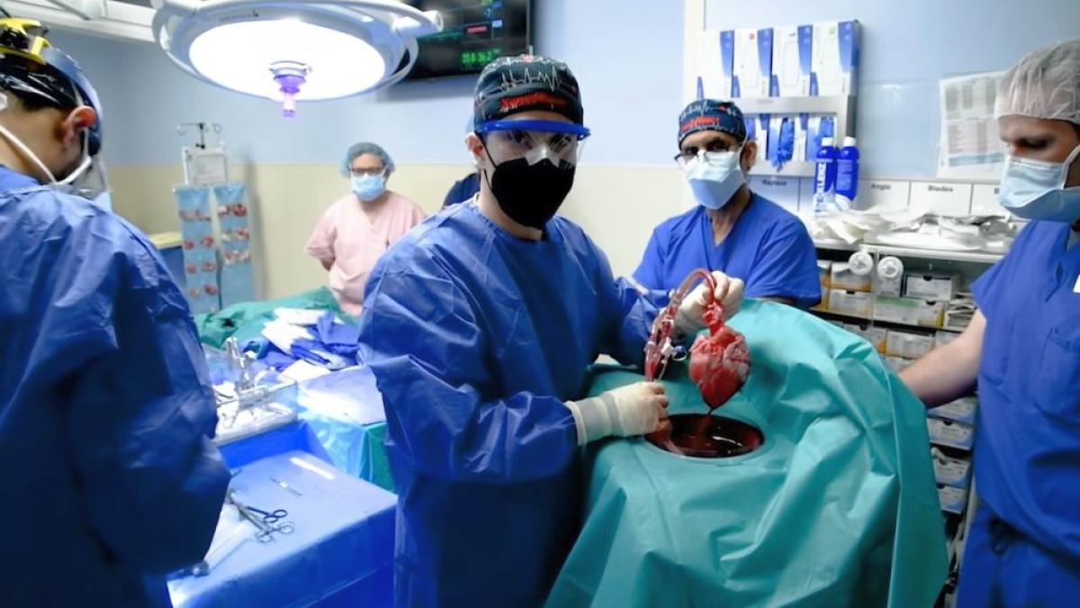 inima-de-porc-print-screen-video-universitatea-maryland_15160800