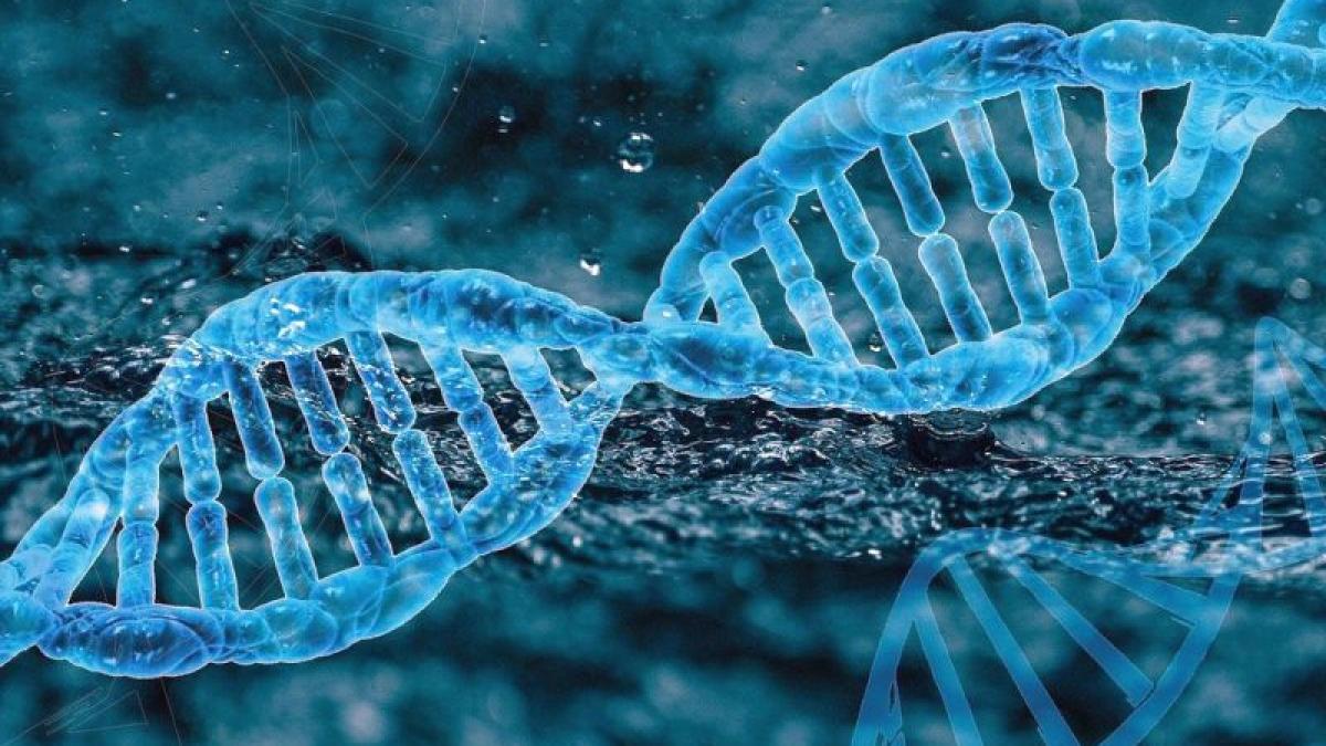 gena_adn_dna_foto_pixabay_37362400