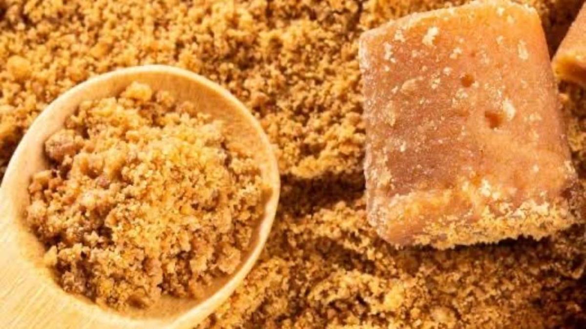 jaggery_02575000