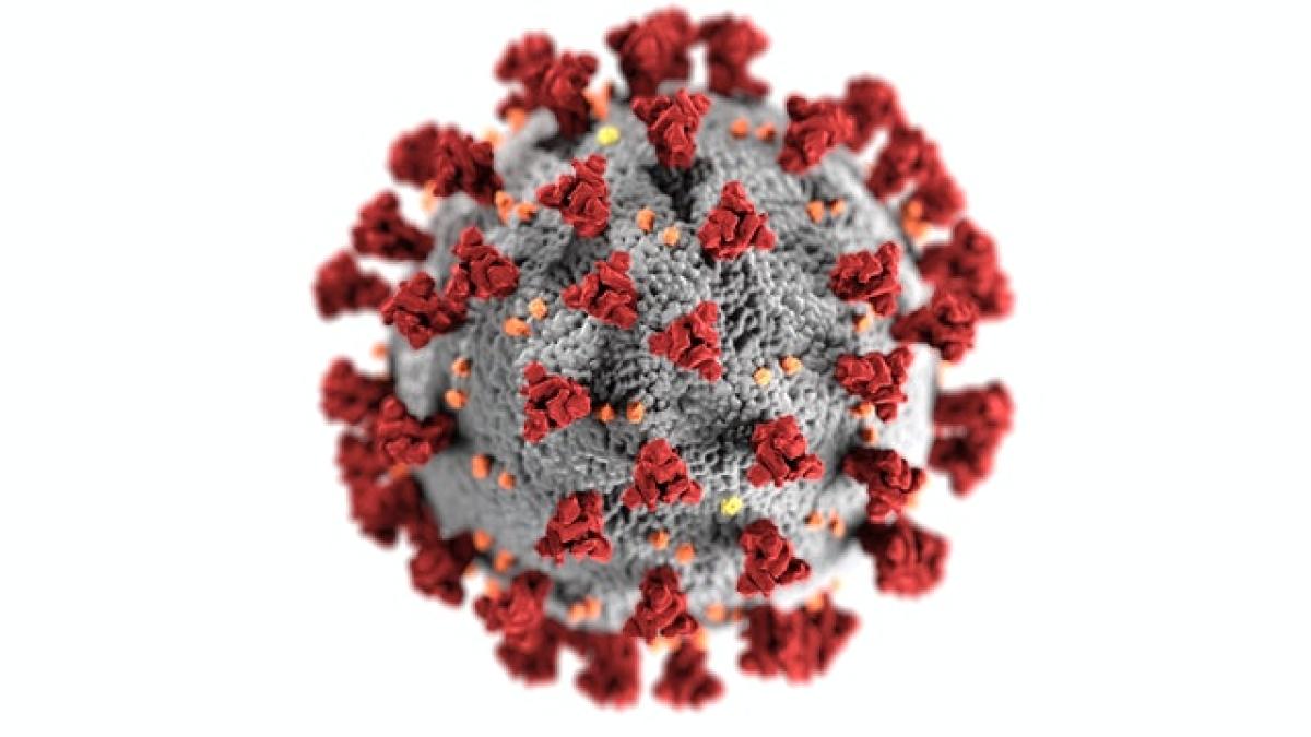 pexels-cdc-virus_40389900