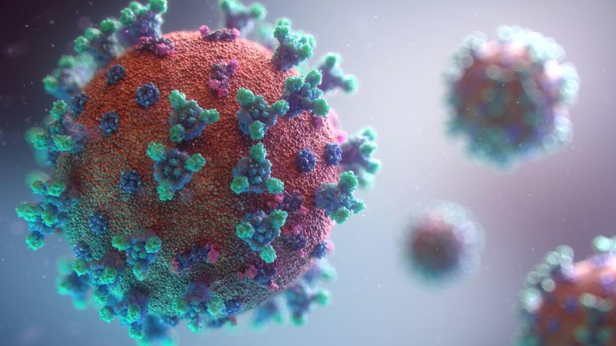 coronavirus-fusion-medical-animation-rnr-unsplash_21673900