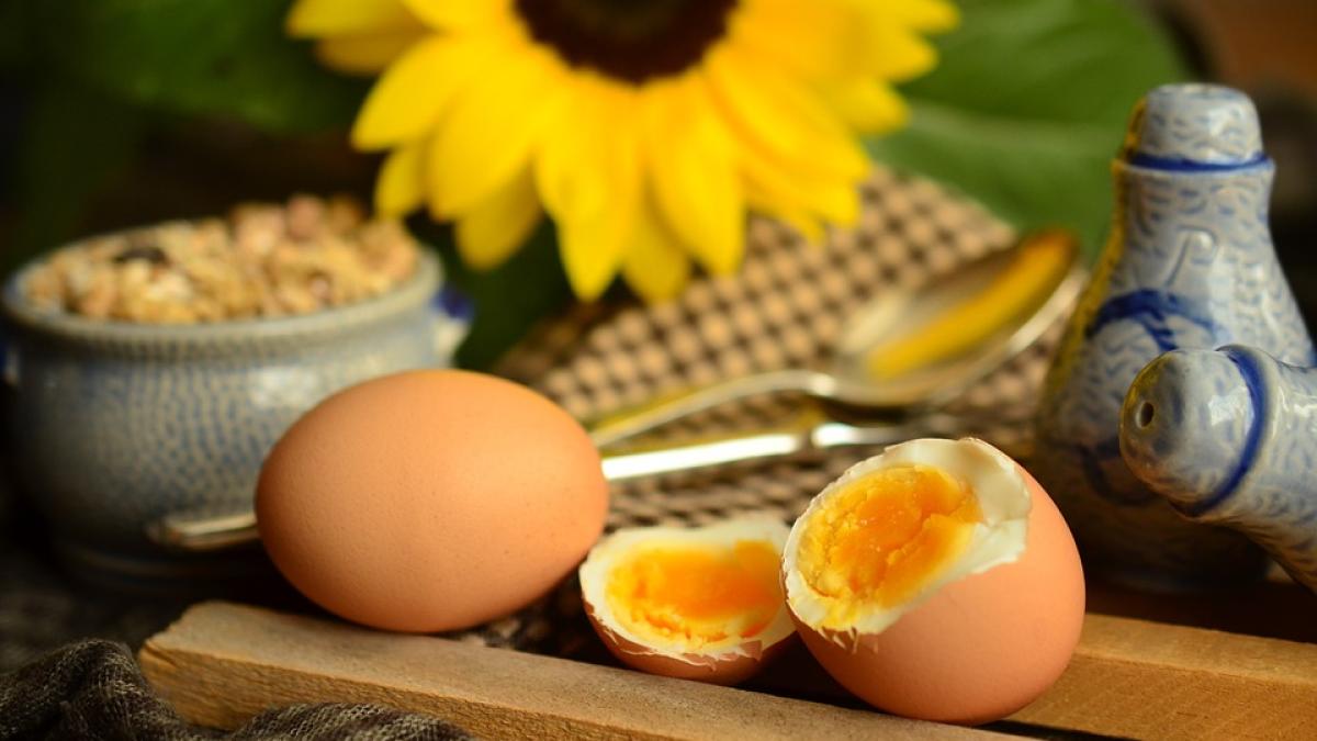dieta-cu-oua-fierte-efecte-adverse_97247800