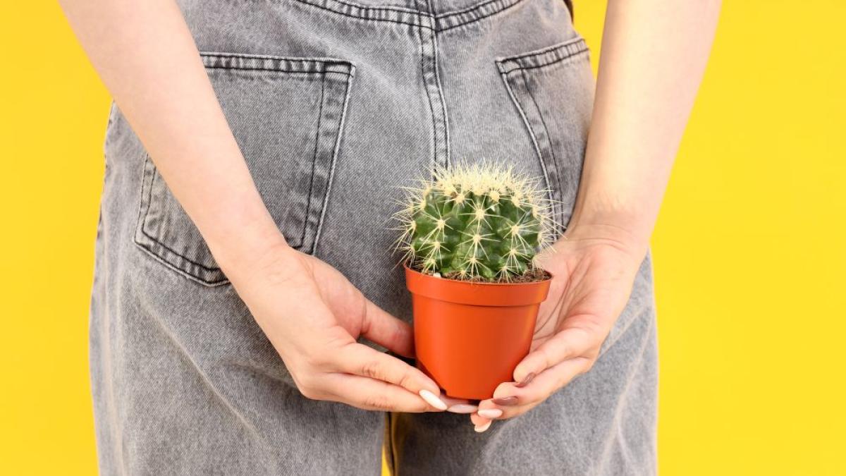 woman-holds-cactus-near-her-ass-hemorrhoids-concept_20709300