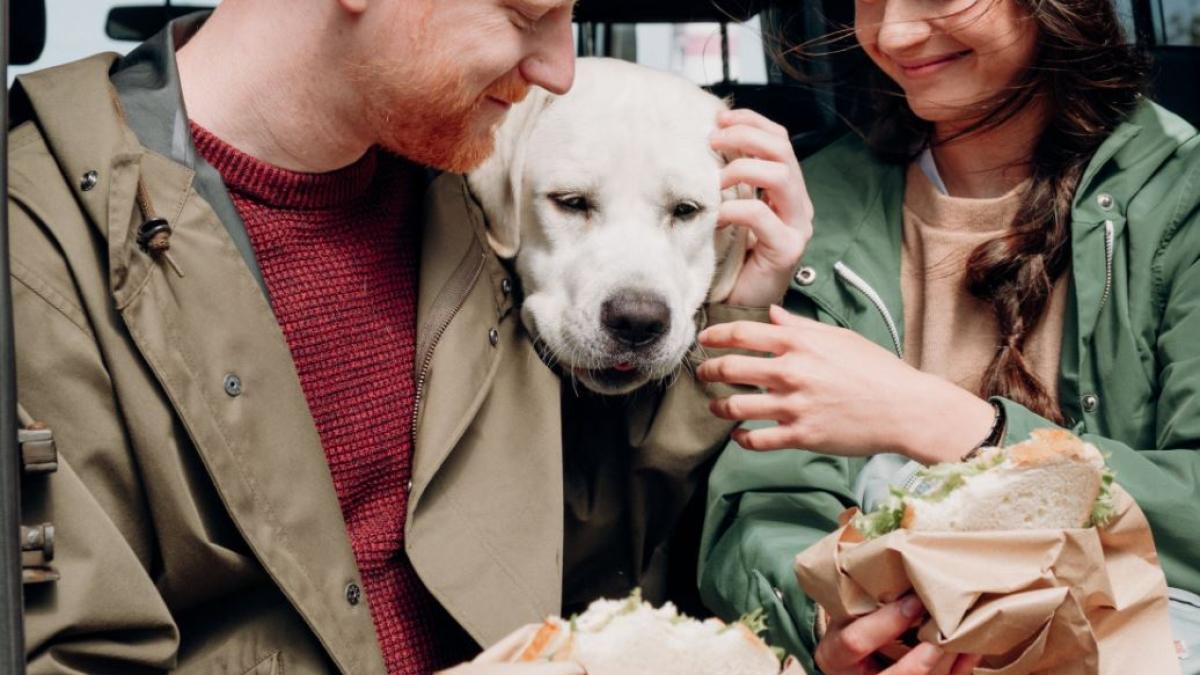 familie_mancare_foto_pexels_32520900