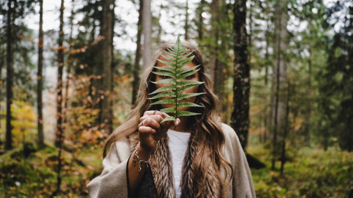 dragoste-natura-padure-pexels-lucas-allmann-612891_61731800