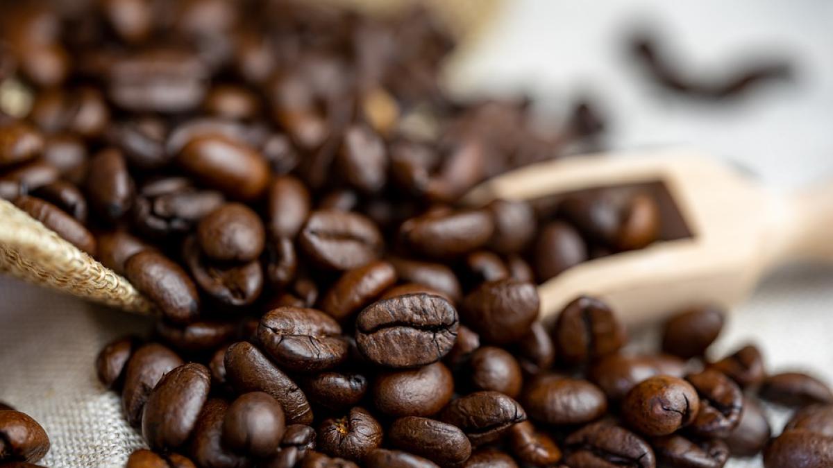 boabe-cafea-frigider_83900100