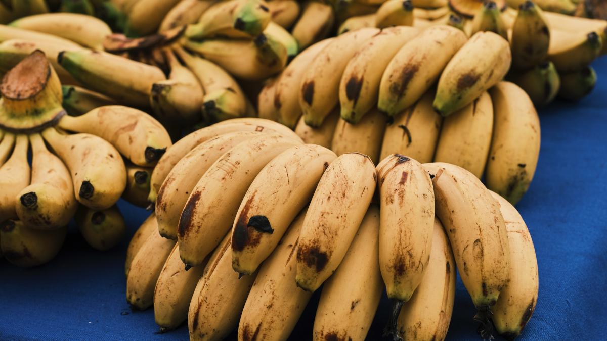 care-sunt-cele-mai-sanatoase-banane_05523400