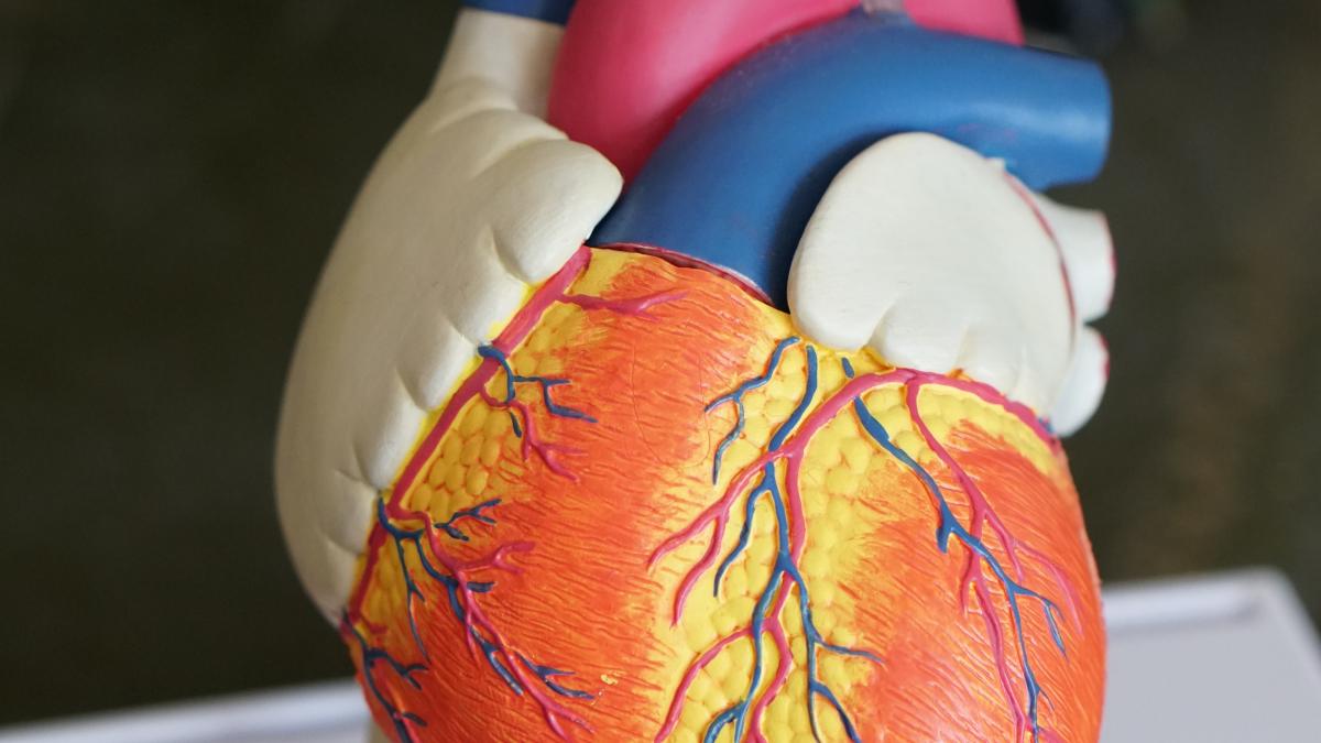 ce-este-stenoza-aortica--dr--dorobantu--despre-interventia-tavi-fara-taierea-sternului--fara-a-i-opri-inima_58752300