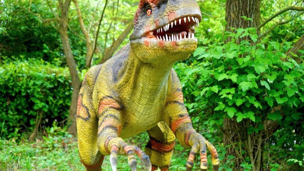 dinozaur-pexels-mike-410859_77705000