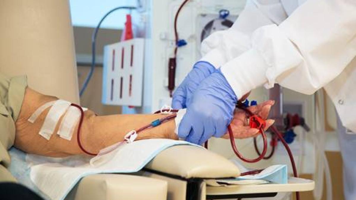 doar-10prc--dintre-pacientii-romani-dializati-se-afla-pe-lista-de-asteptare-a-unui-transplant--foto-pexels--at-gral_33841100
