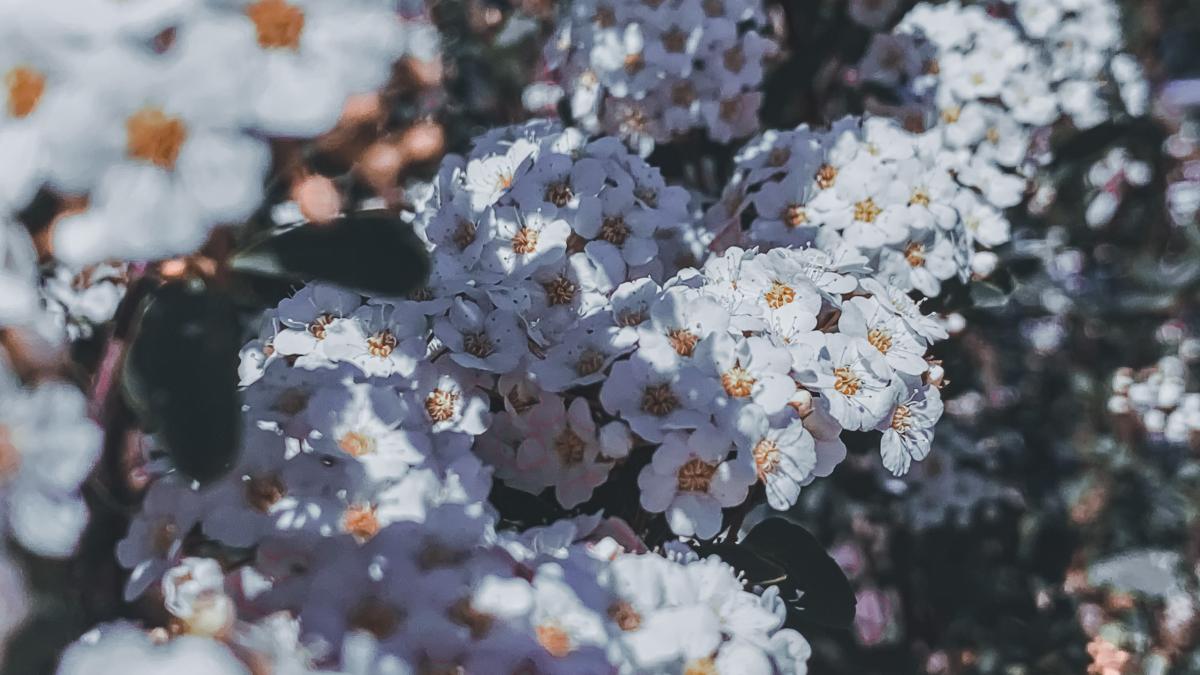 pexels-dids-6912678_68772300