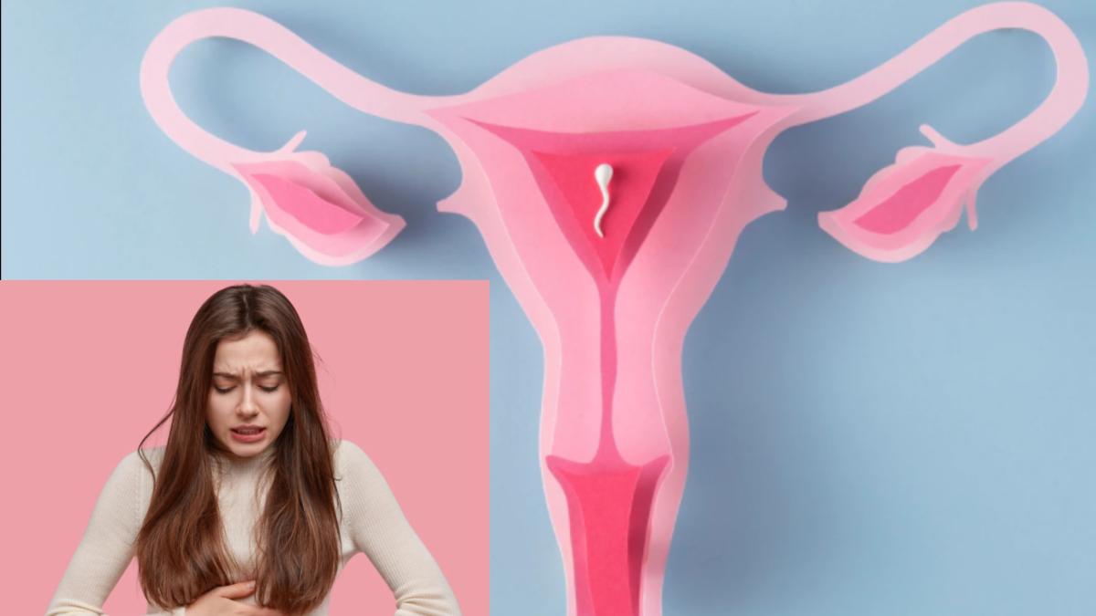 uterul-retrovers_-ce-este-si-cat-de-periculos-e-pentru-sarcina_-daca-nu-ar-fi-atat-de-frecvent-as-zice-ca-e-un-mit_13107500