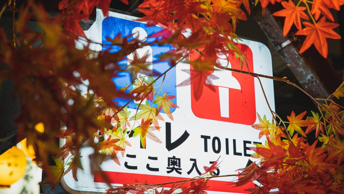 urinare-frecventa--foto-pexels--at--ryutaro-tsukata_90667200