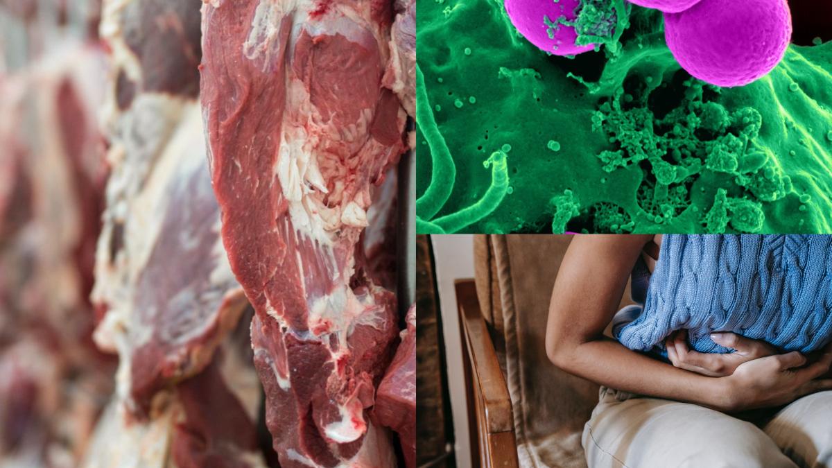 cum-stii-ca-esti-infectat-cu-salmonella--ce-e-interzis-sa-mananci-la-regim--multi-fac-greseala-asta_29059400