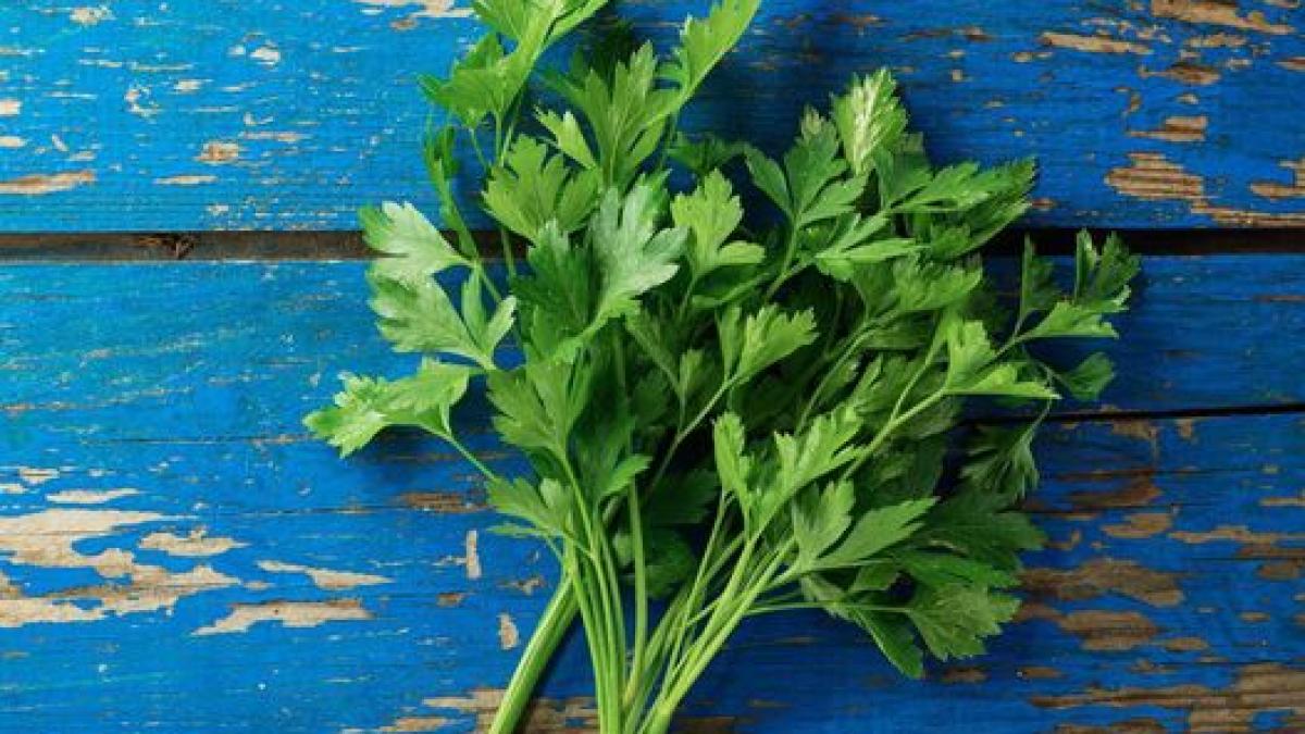 patrunjelul-nu-ajuta-medicii--avertisment-ferm-homeopatele--statul-la-soare--masinile-scumpe--acatistele-nu-ajuta_97617300