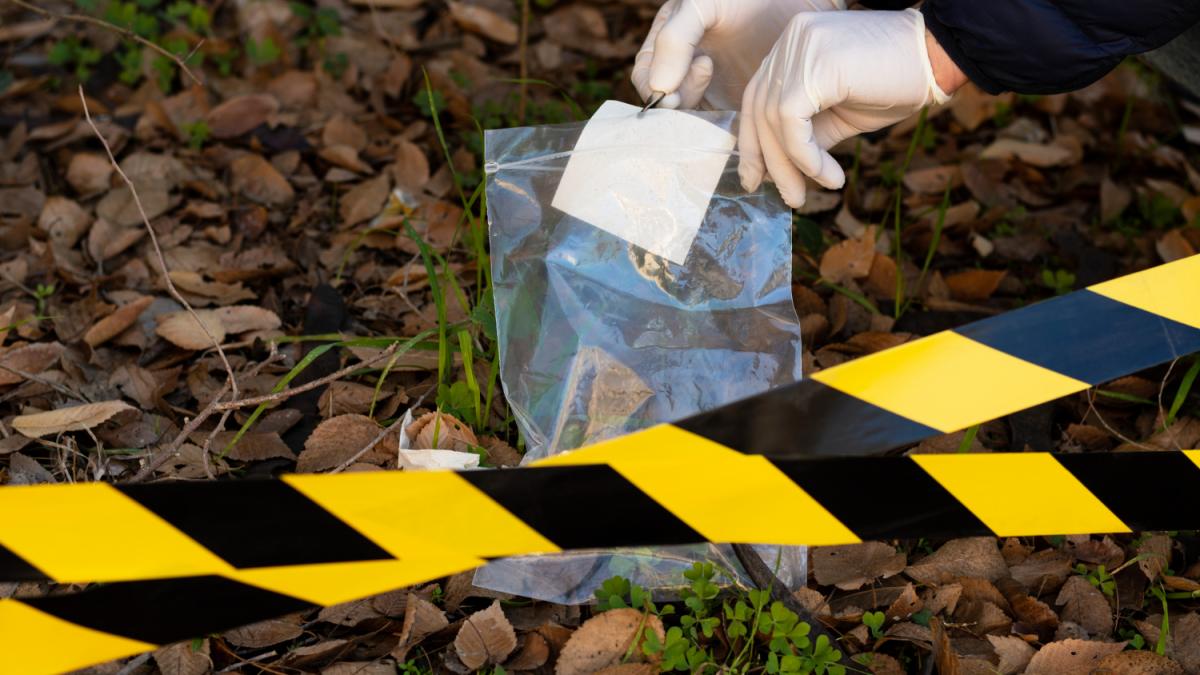 in-cat-timp-se-descompune-un-cadavru--prof--buda--despre-dovezile-din-lume-e-spectaculos_23001300