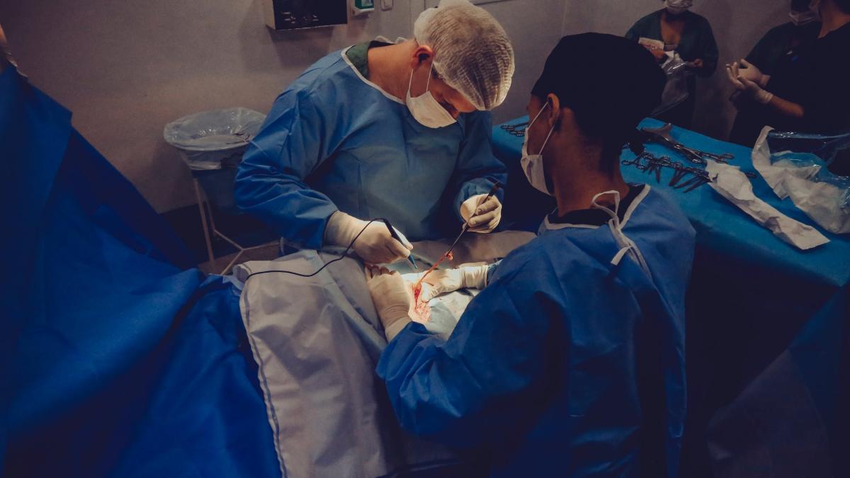 transplantul-hepatic--foto-pexels--at--vidal-balielo-jr-_36659300