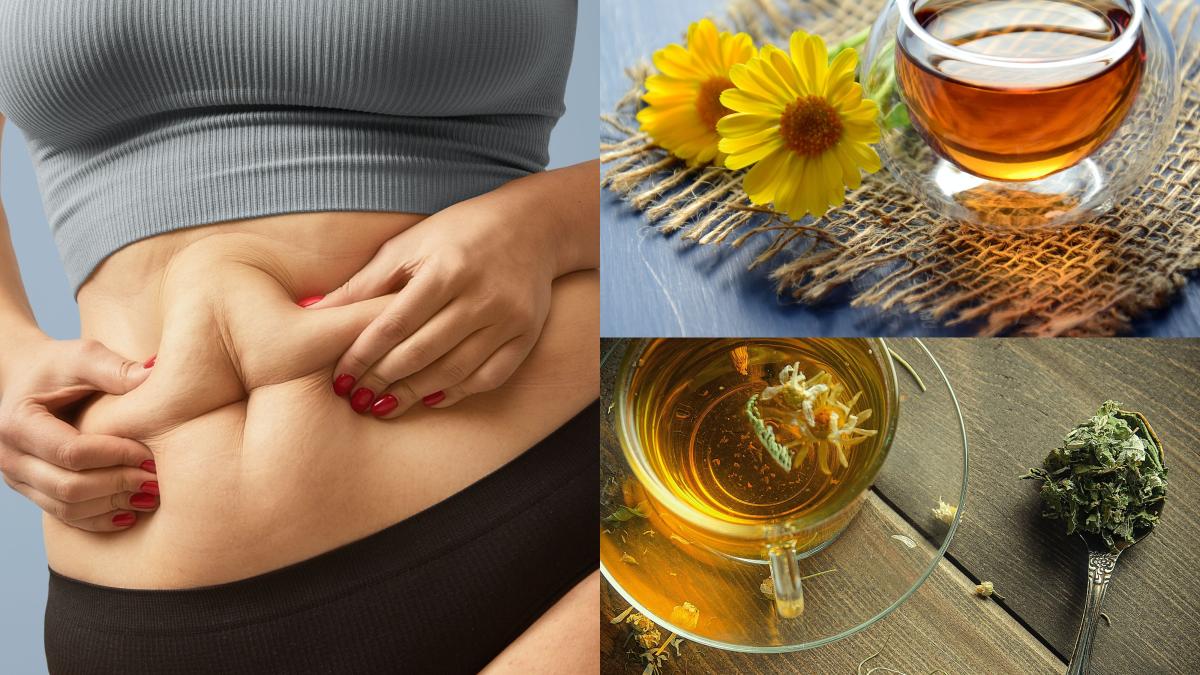 ceaiul-de-slabit--boala-curata--senna--fenproporex-si-pseudoefedrina--ingredientele-ascunse-pe-eticheta-dezvolta-cancer-si-infarct_74613600