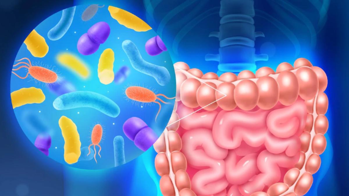 calprotectina--testul-din-scaun-care-descopera-colita-ulcerativa--ocluzia-intestinala--boala-crohn--negreanu-complicatii-grave--colon-toxic_28149000