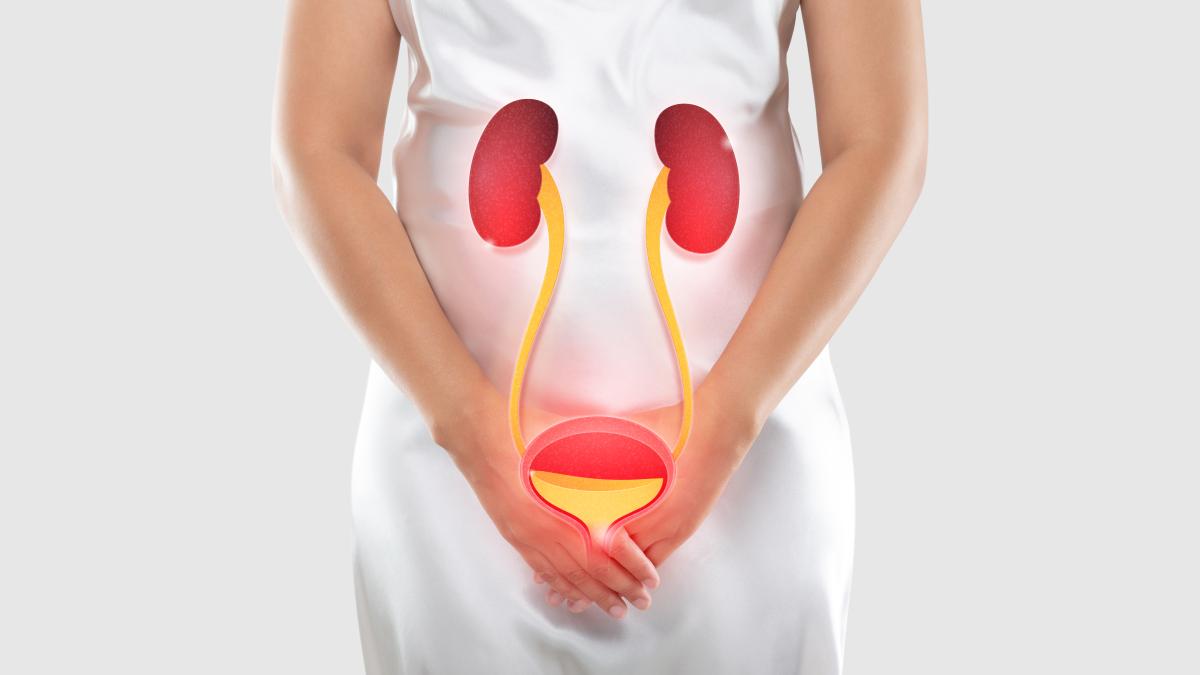 infectiile-urinare_31013900
