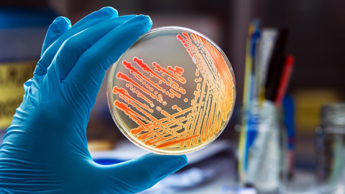 infectia-cu-chlamydia_70256700