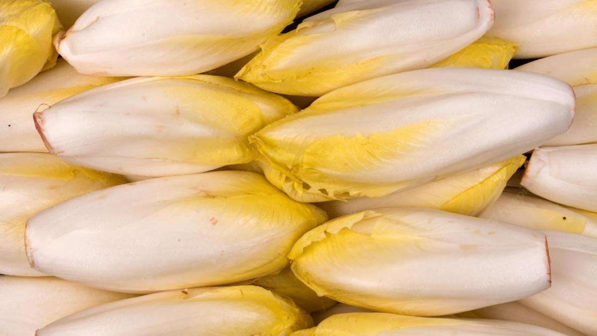 bogata-in-vitamine-andiva--foto-freepik--at--user14202961_63592800