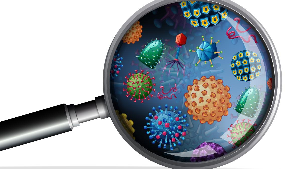 infectia-cu-clostridium_27317500