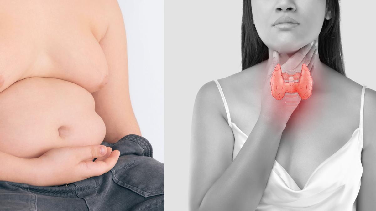 kilogramele-in-plus-de-la-glanda--mit-daramat--poiana--despre-tratamentul-cu-hormoni-tiroidieni-o-mare-greseala_50375400