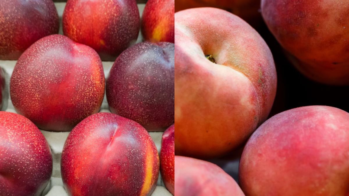 piersici-si-nectarine--care-e-diferenta--care-e-mai-buna-pentru-sanatate-si-silueta_05397000