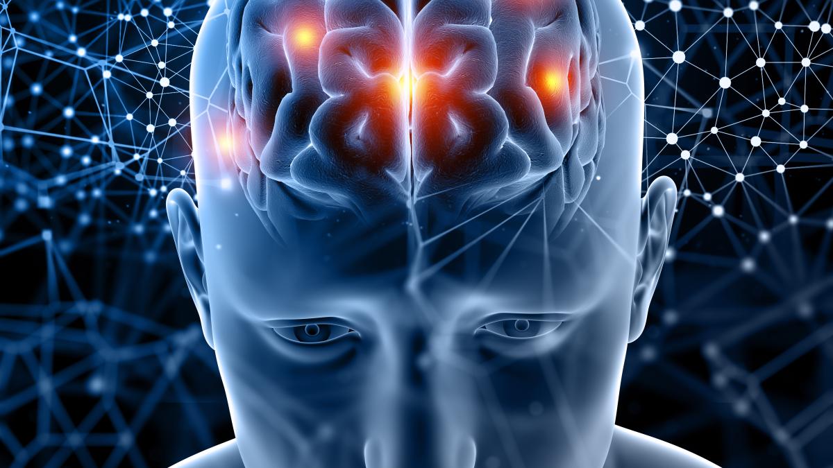creierul--afectat-de-anticorpii-produsi-de-covid--nu-de-virusul-direct-atac-asupra-celulelor-care-captusesc-vasele-de-sange-ale-creierului--duce-la-inflamatii-si-leziuni_34677200