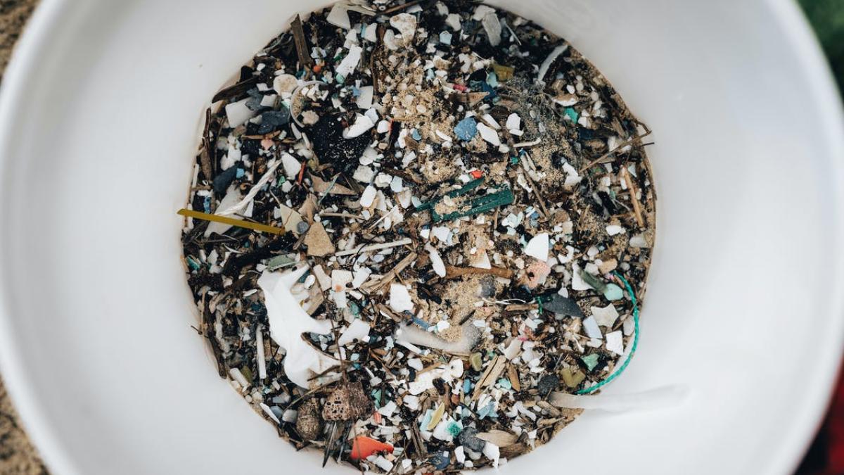microplasticele--foto-pexels--at--alfo-medeiros_19837200