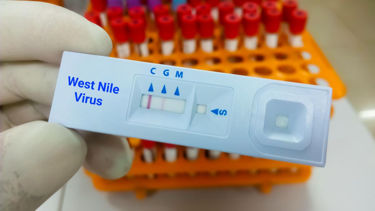west-nile--virusul-care-ameninta-romania--care-sunt-simptomele-si-cum-se-transmite--atentie-la-sacii-de-gunoi_09408900